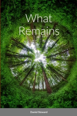 What Remains by Steward, Daniel