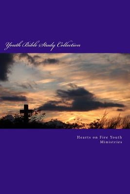 Youth Bible Study Collection: Proverbs and the Synoptic Gospels by Records, Vicie