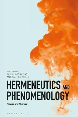 Hermeneutics and Phenomenology: Figures and Themes by Geniusas, Saulius