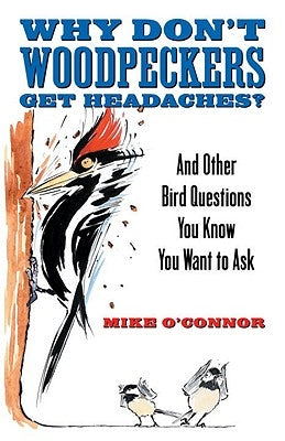 Why Don't Woodpeckers Get Headaches?: And Other Bird Questions You Know You Want to Ask by O'Connor, Mike