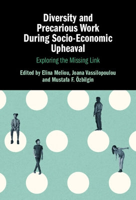 Diversity and Precarious Work During Socio-Economic Upheaval: Exploring the Missing Link by Meliou, Elina