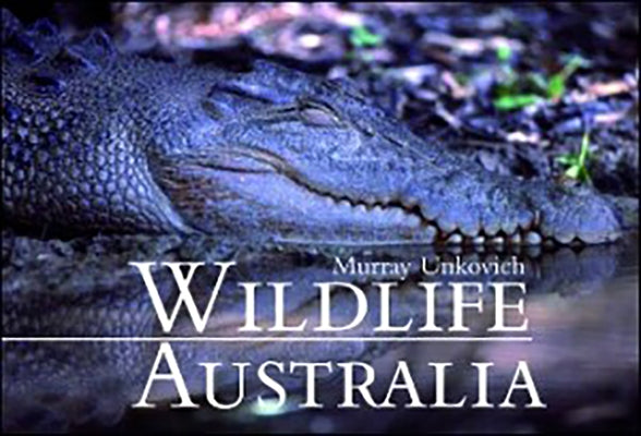 Wildlife Australia by Unkovich, Murray