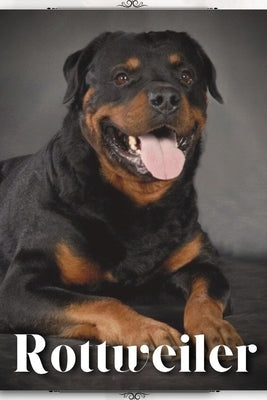 Rottweiler: Dog breed overview and guide by Pustova, Nina