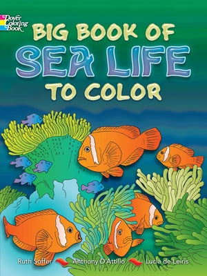 Big Book of Sea Life to Color by Soffer, Ruth