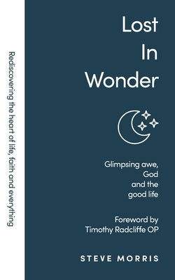 Lost in Wonder: Glimpsing Awe, God and the Good Life (Rediscovering Faith Life And Everything) by Morris, Steve
