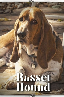 Basset Hound: Dog breed overview and guide by Pustova, Nina