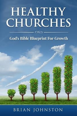Healthy Churches: God's Bible Blueprint For Growth by Johnston, Brian