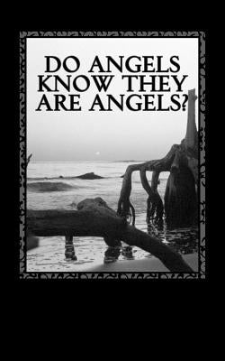 Do Angels know they are Angels? by Lapoint, S. a.