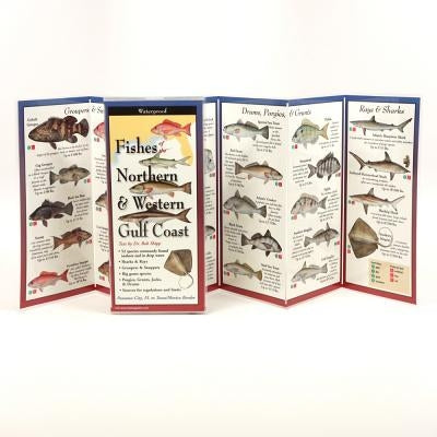 Fishes of the North & Western Gulf Coast by Shipp, Robert