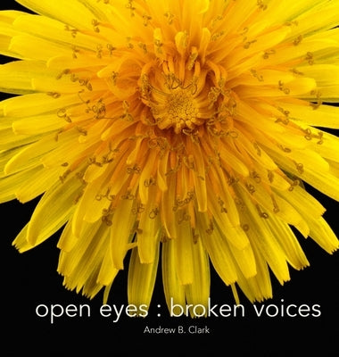 Open Eyes Broken Voices by Clark, Andrew B.