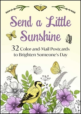 Send a Little Sunshine: 24 Color-And-Mail Postcards to Brighten Someone's Day by Good Books