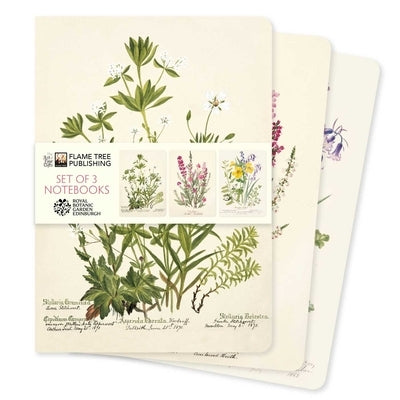Royal Botanic Gardens Edinburgh Set of 3 Standard Notebooks by Flame Tree Studio
