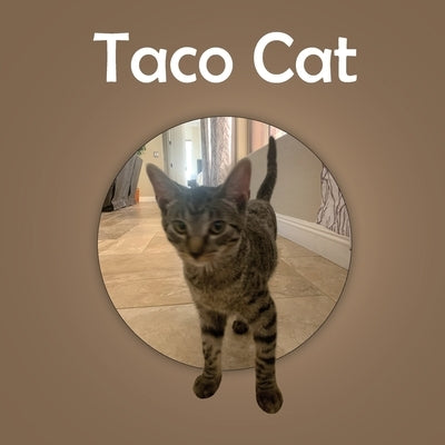 Taco Cat by Williams