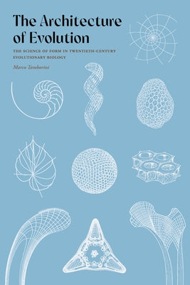 The Architecture of Evolution: The Science of Form in Twentieth-Century Evolutionary Biology by Tamborini, Marco