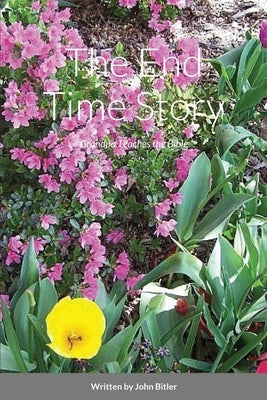 The End Time Story by Bitler, John