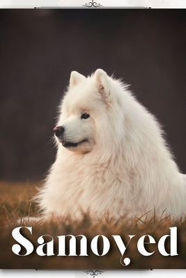 Samoyed: Dog breed overview and guide by Pustova, Nina