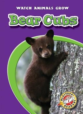 Bear Cubs by Fleming, Dana