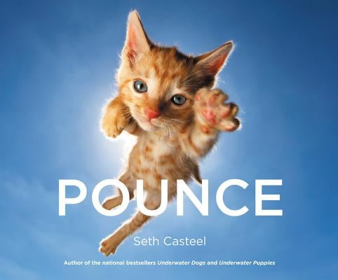 Pounce by Casteel, Seth