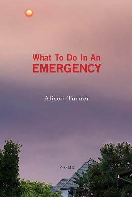What To Do In An Emergency by Turner, Alison