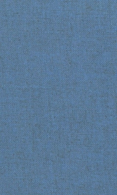 The Greek Prothetic Vowel by Wyatt, William F.