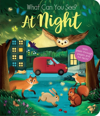 What Can You See? at Night by Ware, Kate