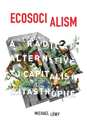 Ecosocialism: A Radical Alternative to Capitalist Catastrophe by Löwy, Michael