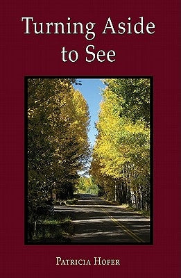 Turning Aside to See by Hofer, Patricia