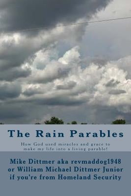 The Rain Parables by Dittmer, Mike