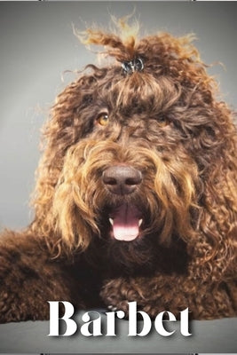 Barbet: Dog breed overview and guide by Pustova, Nina