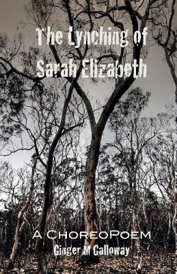 The Lynching of Sarah Elizabeth by Galloway, Ginger M.
