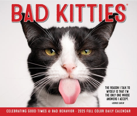 Bad Kitties 2025 6.2 X 5.4 Box Calendar by Willow Creek Press