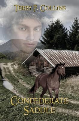 Confederate Saddle by Collins, Terry P.