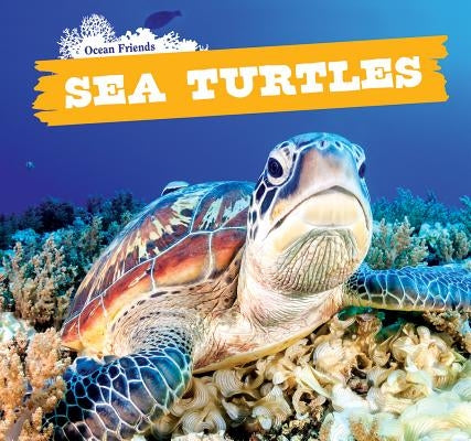 Sea Turtles by Rudenko, Dennis