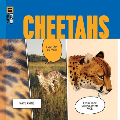 Cheetahs by Riggs, Kate