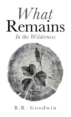 What Remains: In the Wilderness by Goodwin, B. R.