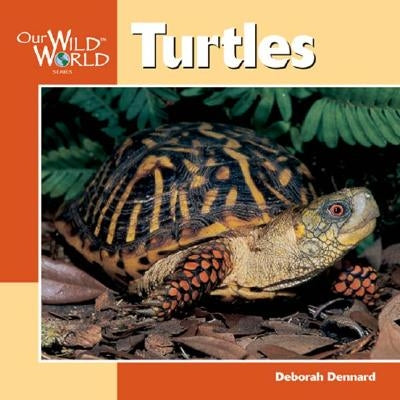 Turtles by Dennard, Deborah