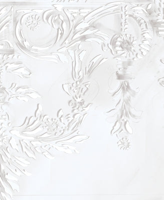 James Drake: Red Drawings and White Cut-Outs by Drake, James