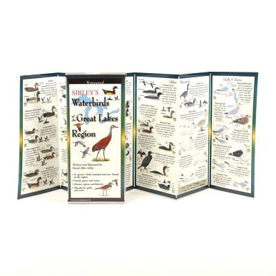 Sibley's Waterbirds of the Great Lakes by Sibley, David