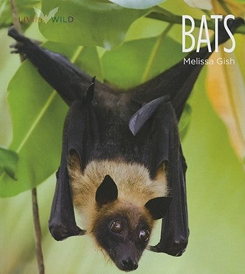 Bats by Gish, Melissa