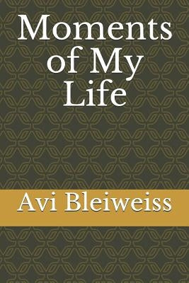 Moments of My Life by Bleiweiss, Avi