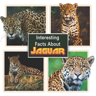 Interesting Facts About Jaguars: Children's Picture Book for Jaguars / Facts About Jaguars for Kids by Mahi, James K.
