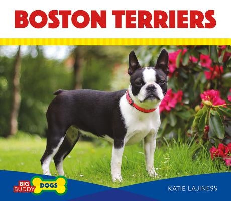 Boston Terriers by Lajiness, Katie