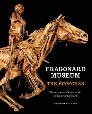 Fragonard Museum: The Écorchés by Degueurce, Christophe