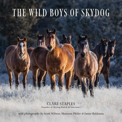 The Wild Boys of Skydog by Staples, Clare