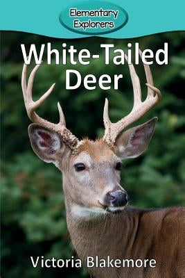 White-Tailed Deer by Blakemore, Victoria