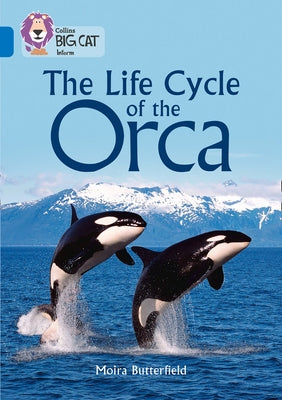 Collins Big Cat - The Life Cycle of the Orca: Band 16/Sapphire by Butterfield, Moira