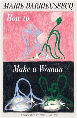 How to Make a Woman by Darrieussecq, Marie