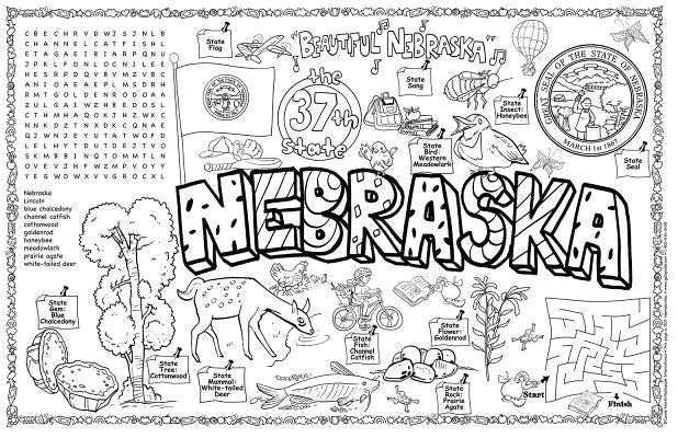 Nebraska Symbols & Facts Funsheet - Pack of 30 by Gallopade, International