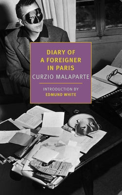 Diary of a Foreigner in Paris by Malaparte, Curzio