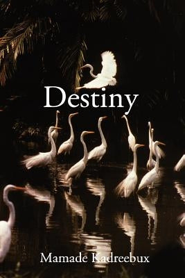 Destiny by Kadreebux, Mamade